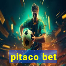 pitaco bet